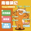 【PAW PAW LAND 肉球世界】鮮味大絲_肉絲主食罐80gx24入(貓主食罐 鮪魚 雞肉 蝦青素)