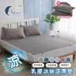 【ISHUR 伊舒爾】買1送1 乳膠冰絲涼蓆墊 贈同款枕頭套(單人 雙人 加大 均一價 涼感墊 野餐墊 速達)