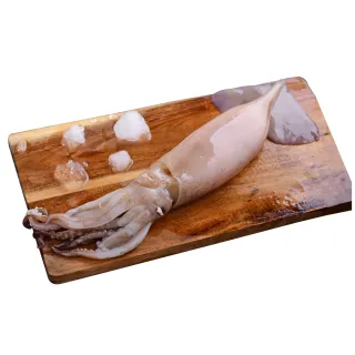 【心鮮】阿根廷野生鮮凍生魷魚16件組(200g-300g/隻)