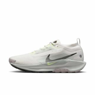 【NIKE 耐吉】PEGASUS TRAIL 5 GTX 男鞋 慢跑鞋 運動鞋 越野 白灰色(FQ0908102)
