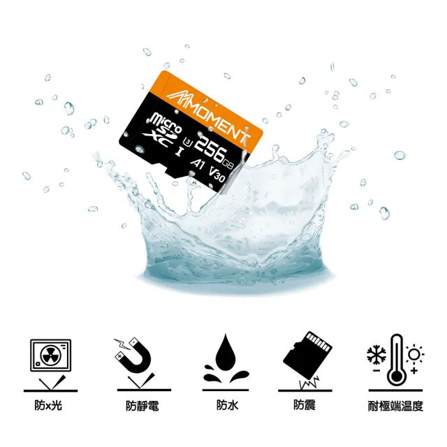 【兩入組Moment】MicroSD SDXC UHS-I A1V30 MM13 256GB 記憶卡(256GB 2入組)