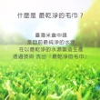 【non-no 儂儂】最乾淨柔軟吸水加大加厚浴巾(100%純棉 天然無添加 超瞬吸結構)