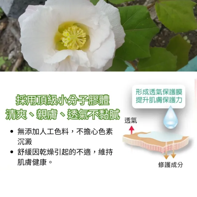 【HITOLY 喜多麗】台灣原生山芙蓉修護凝膠 30g/盒