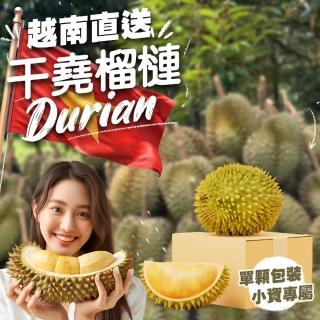 【果樹寶石】越南幹堯榴槤單顆x2箱（2kg±10%）(來自湄公河的黃金果王 榴槤控必嚐的經典之選)