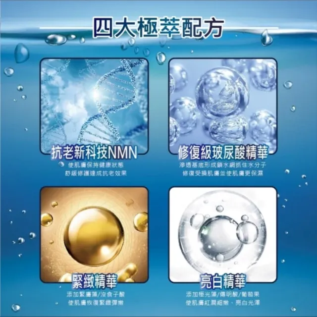 【FORTE】NMN凝時抗老淨白導入霜30g/盒(女神伊登推薦)