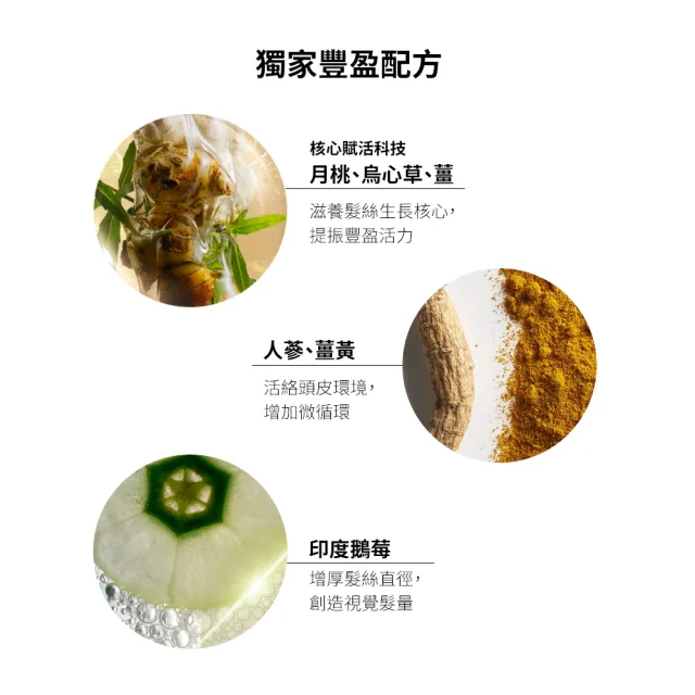 【AVEDA】蘊活煥欣增量強韌乳 100ml(免沖洗精華 秀髮豐盈拉提)