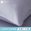【青鳥家居】絲滑抹醬天絲棉雙人床包枕套組/10色(天絲棉/床包組/天絲棉床包)