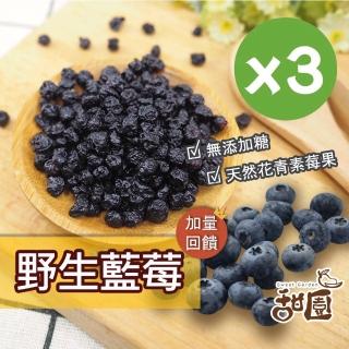 【甜園】野生藍莓 60gx3包(★無新增糖★無糖果乾★低溫烘焙★無糖藍莓果乾)