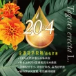 【威瑪舒培】舒利視增量版2.0液態膠囊_一入(共60顆全素_20：4 游離型葉黃素_玉米黃素)
