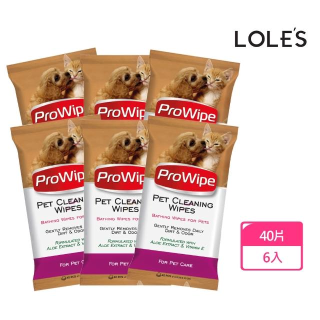 即期品【LOLES】寵物溫和清潔除臭濕紙巾(40片-6入)