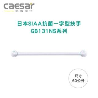 【CAESAR 凱撒衛浴】日本認證 SIAA抗菌扶手 60公分(GB131NS-60)