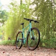 【CHANGE】GF-102G 公路車 折疊車 礫石車(Shimano Cues 20速 摺疊車 自行車 可加裝電動車套件)