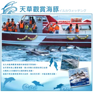 【喜鴻假期】【高雄出發．九州海豚熊豪看５日】天草海豚、熊本城、豪斯登堡、萌熊電車、雲仙地獄谷
