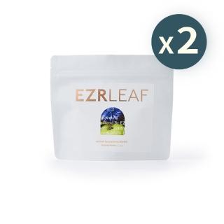 【EZR Leaf 一澤茶】南洋煎茶 輕享包3g x 12入x 2包(天然草本/日系煎茶/立體茶包/低咖啡因)