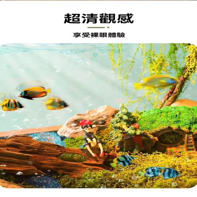 【極樂鳥寵物用品旗艦店】亞克力小型魚缸 防撞防耐摔 免換水桌面魚缸 預售12工作天(長60*寬30*高29)