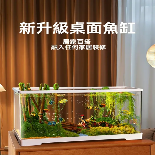 【極樂鳥寵物用品旗艦店】亞克力小型魚缸 防撞防耐摔 免換水桌面魚缸 預售12工作天(長60*寬30*高29)(其他規格)