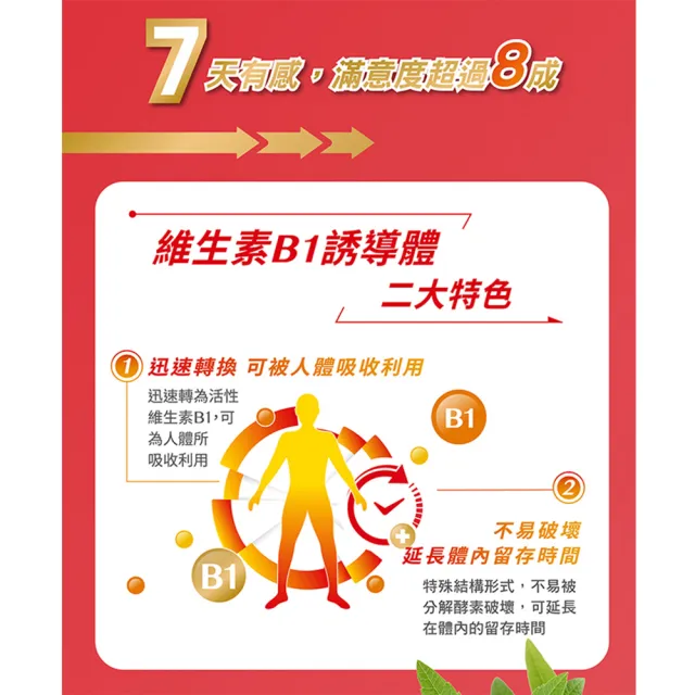 【台塑生醫醫之方】momo獨家長釋B群EX PLUS加強錠75錠x2瓶(共150錠李李仁代言)