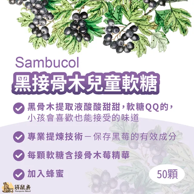 澳洲 Sambucol 黑接骨木兒童軟糖 50顆#0000114#(兒童軟糖)