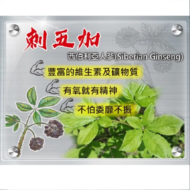 【YouBest 優倍多】A+男性強健複方軟膠囊(60粒/盒-瑪卡.南瓜籽油.刺五加.專利茯苓三萜 男性保健)