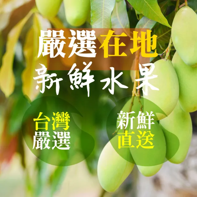 【甜園】情人果乾 120gx3包(★無糖情人果乾 ★梅香情人果乾 ★愛吃酸必備!)