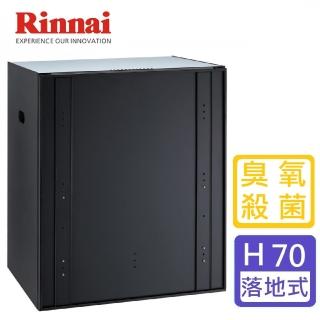 【林內】嵌門式烘碗機 60cm(RKD-6035S 基本安裝原廠保固)