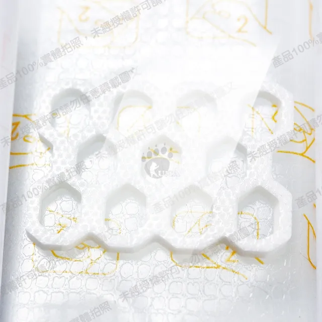 【史耐輝】透視性晶格泡棉敷料X2片 10x8cm