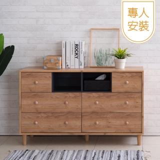 【TZUMii】專人組裝-洛亞二格六抽斗櫃(抽屜櫃 收納櫃 電視櫃 4尺鬥櫃 置物櫃)