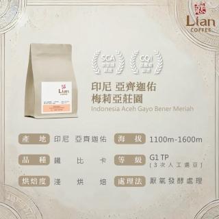 【戀】印尼 亞齊迦佑 梅莉亞莊園 鐵筆卡 G1 TP 厭氧發酵處理 淺焙精品咖啡豆(227g/袋)
