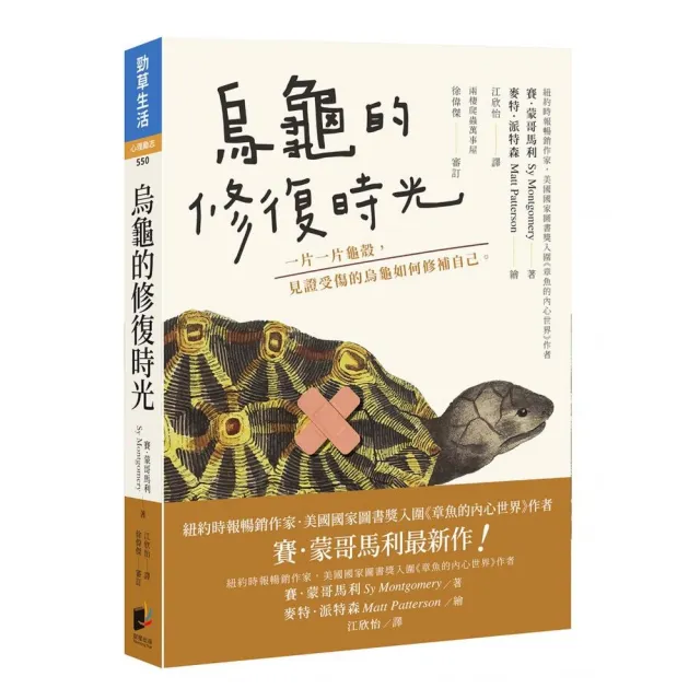 烏龜的修復時光：一片一片龜殼， 見證受傷的烏龜如何修補自己