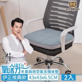 【日本旭川】冬夏兩用空氣支撐坐墊-2入(伊正推薦升級限量版)