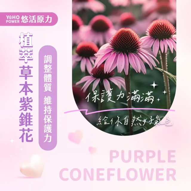 【悠活原力】悠活維生素C+鋅+紫錐花口含錠 鳳梨蘋果口味x3包(28錠/包)