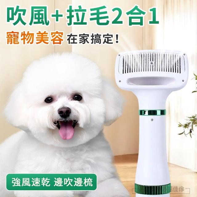 【伊德萊斯】二合一寵物吹風機 吹水機 一鍵除毛清潔梳 寵物梳