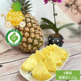 【THIS味販賣部】雲林 金鑽鳳梨6顆裝(約1.2kg/顆 約12臺斤/箱 產地直送 雲林良品 產銷履歷)