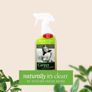 【Naturally it’s clean 自然洗儷】地毯去漬除臭劑(天然環保無毒)