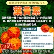 【ogaland】晶亮加分 金盞花葉黃素紅藻蝦紅素 游離型葉黃素 1包組 30粒(黑醋栗 枸杞 玉米黃素 花青素)