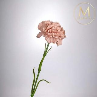 【Floral M】手感保濕康乃馨裸奶茶仿真花材（2入組）(人造花/塑膠花/假花/裝飾花)
