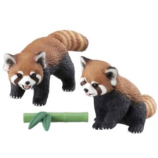【TAKARA TOMY】ANIA 多美動物 AS-35 小貓熊