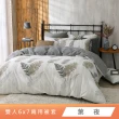 【HongYew 鴻宇】台灣製100%精梳棉 兩用被套 雙人(多款)