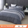 【HongYew 鴻宇】台灣製100%精梳棉 兩用被套 雙人(多款)