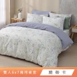 【HongYew 鴻宇】台灣製100%精梳棉 兩用被套 雙人(多款)