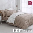 【HongYew 鴻宇】台灣製100%精梳棉 薄被套床包枕套組 雙人(多款)
