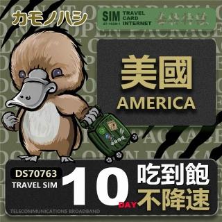 【platypus 鴨嘴獸】Travel Sim 美國 10天 吃到飽不降速 上網絡卡(吃到飽網絡卡 上網絡卡 旅遊卡 漫遊卡)
