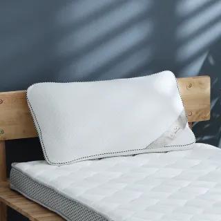 【Darphia 朵法亞】速寄【可水洗獨立筒枕】水洗枕 獨立筒枕 透氣枕 支撐枕(臺灣製造/45顆獨立筒)