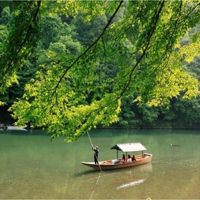 【喜鴻假期】【星宇×星野古意5日】京阪神奈~清水寺、嵐山屋形船、敘敘苑燒肉、保住京都星野飯店