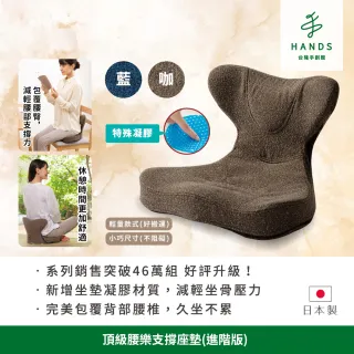 【台隆手創館】日本PROIDEA頂級腰樂支撐座墊-升級版(矯正坐墊 正脊坐墊 美姿椅)