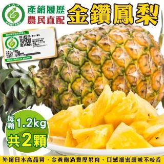 【WANG 蔬果】產銷履歷金鑽鳳梨2顆x1箱(1.2kg/顆 果農直配)