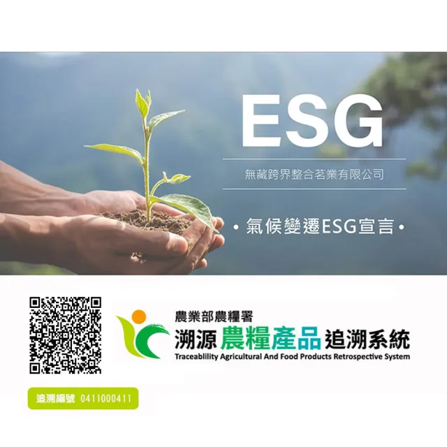 【無藏茗茶】茶葉禮盒-祝福文字小方盒×5入組(茶包系列—平安如意/附提袋)