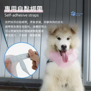 【Pet Universe 多寵宇宙】拋棄式寵物口水巾-L(寵物圍兜兜 貓咪圍兜 寵物圍兜 寵物圍巾 狗狗口水巾)