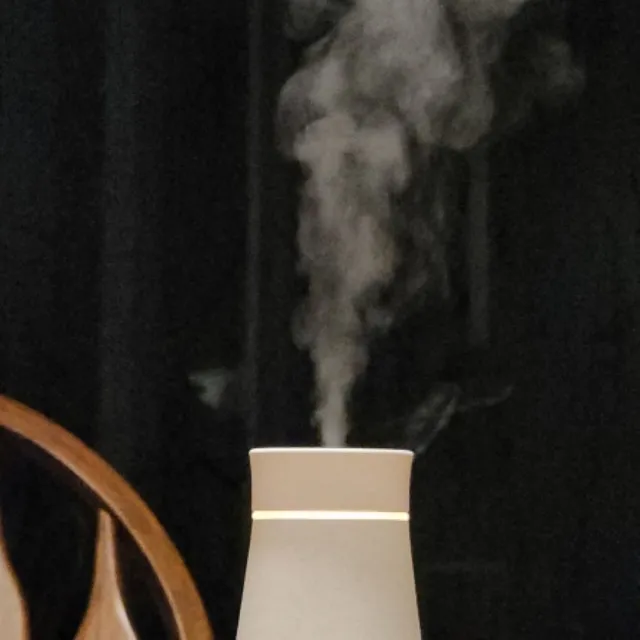 【伊聖詩】一日茶道TEAORY漁光島無水香氛機(禮物首選)