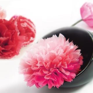 【SEASON 四季紙品禮品】康乃馨宣紙花組(母親節 ML153)